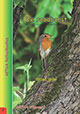 Roodborst